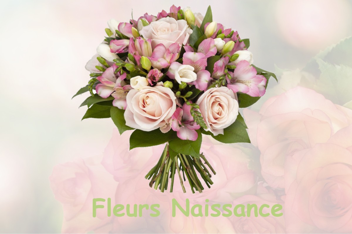 fleurs naissance LA-CROIX-VALMER